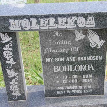 MOLELEKUA Bohlokoa 2014-2014