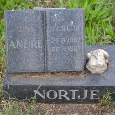 NORTJÉ Andre 1967-1967