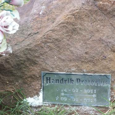 PRETORIUS Hendrik 2011-2013