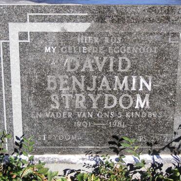 STRYDOM David Benjamin 1901-1981