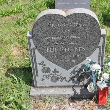 STEYNEN Elie 1940-1970