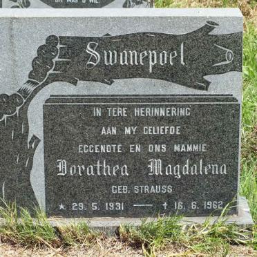 SWANEPOEL Dorathea Magdalena nee STRAUSS 1931-1962