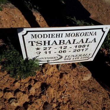TSHABALALA Modiehi Mokoena 1981-2017
