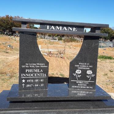 T - Vanne :: Surnames - T