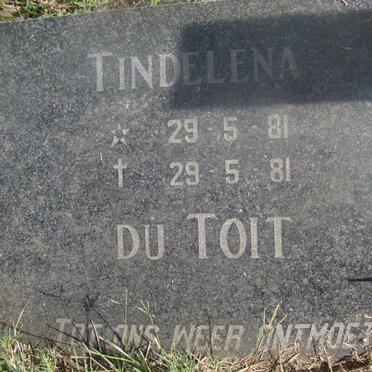 TOIT Tindelena, du 1981-1981