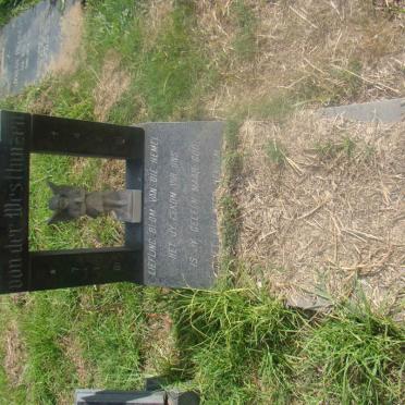 WESTHUIZEN Lanie, van der 1981-1981