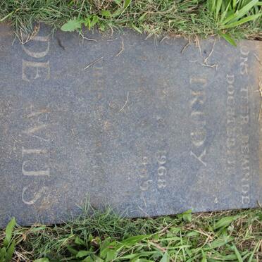 WIJS Trudy, de 1968-1969