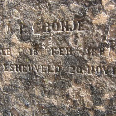 CRONJE A.P. 1887-1914