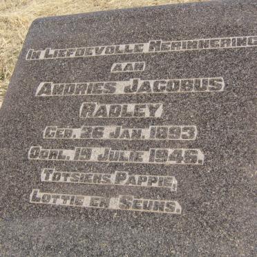 RADLEY Andries Jacobus 1893-1946 _1