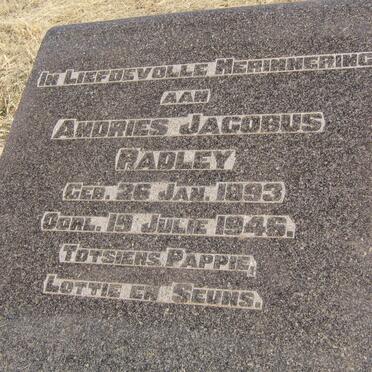 RADLEY Andries Jacobus 1893-1946 _1
