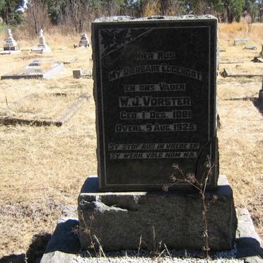 VORSTER W.J. 1881-1925
