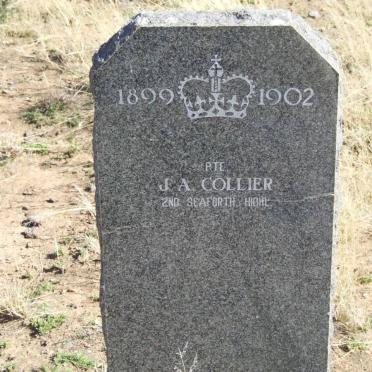 COLLIER J.A.