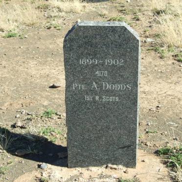 DODDS A.
