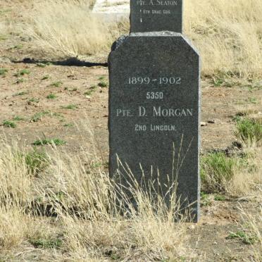 MORGAN D.