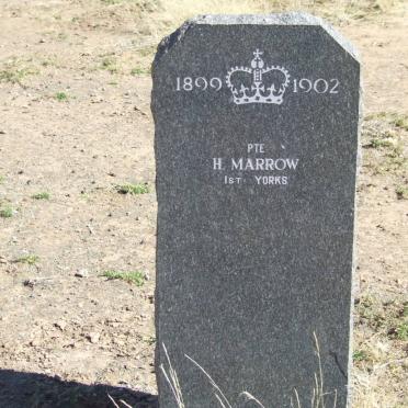 MARROW H.