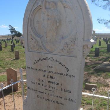 NEL A.C. nee LAMPRECHT 1892-1925