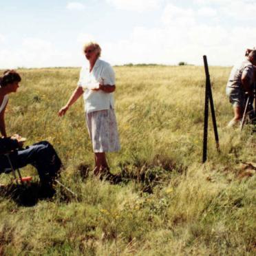 Free State, THEUNISSEN district, Bossies Spruit 400, Bossiesspruit farm cemetery
