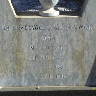 COETZEE Piet 1937-1981