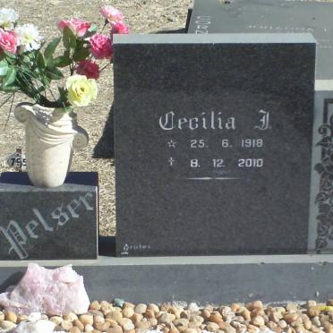 PELSER Hendrik S. 1910-1979 &amp; Cecilia J. 1918-2010 