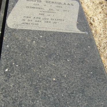 WILTERS David Herculaas 1959-1977