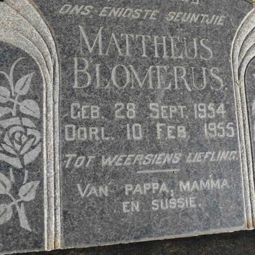 BLOMERUS Mattheus 1954-1955