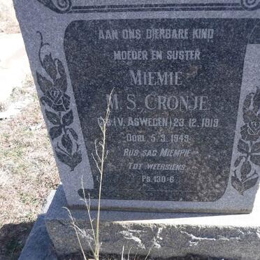 CRONJÉ M.S. nee VAN ASWEGEN 1919-1949