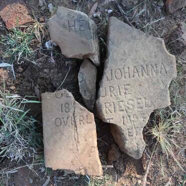 G - Surnames :: Vanne - G