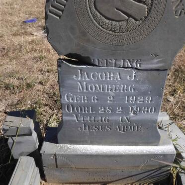 MOMBERG Jacoba J. 1929-1930