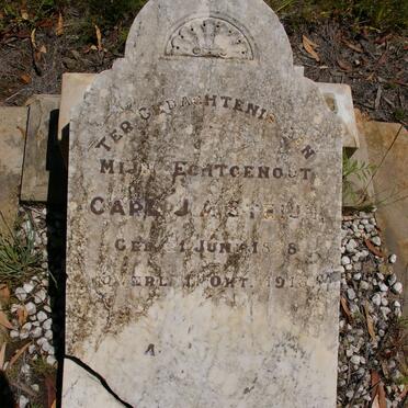 STEIJN Carl J.A. 1878-1918