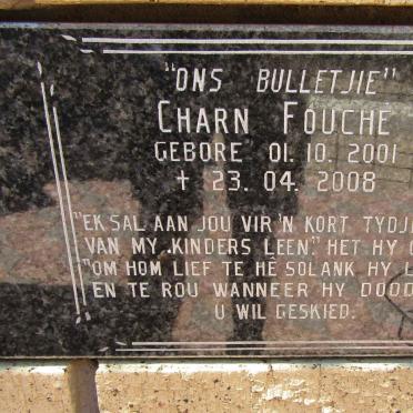 FOUCHE Charn 2001-2008