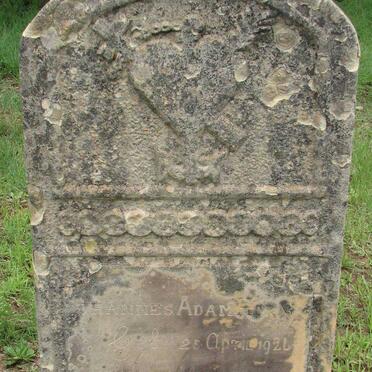 HORN Johannes Adam 1926-1928