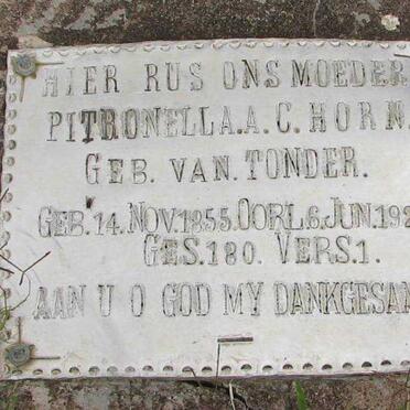 HORN Petronella A.C. nee VAN TONDER 1855-1929