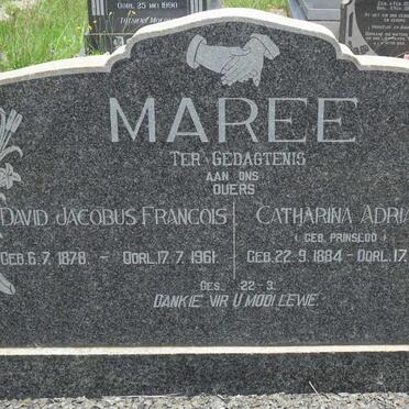 MAREE David Jacobus Francois 1878-1961 &amp; Catharina Adriana PRINSLOO 1884-1969