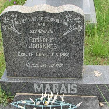 MARAIS Cornelis Johannes 1955-1955