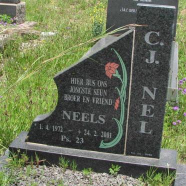 NEL C.J. 1972-2001