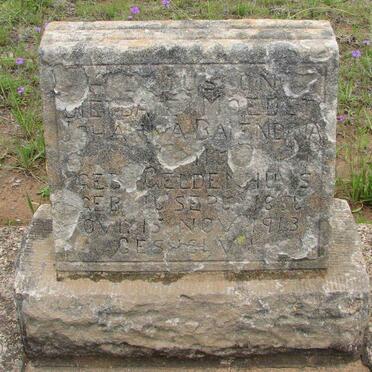 ? Johanna Barendina nee GELDENHUYS 18??-1943