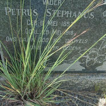 GOUWS Petrus Stephanus 1857-1918