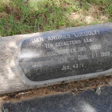 LOEDOLFF Jan Andries 1898-1958