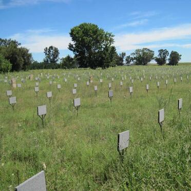 3. Overview - Relocated Graves
