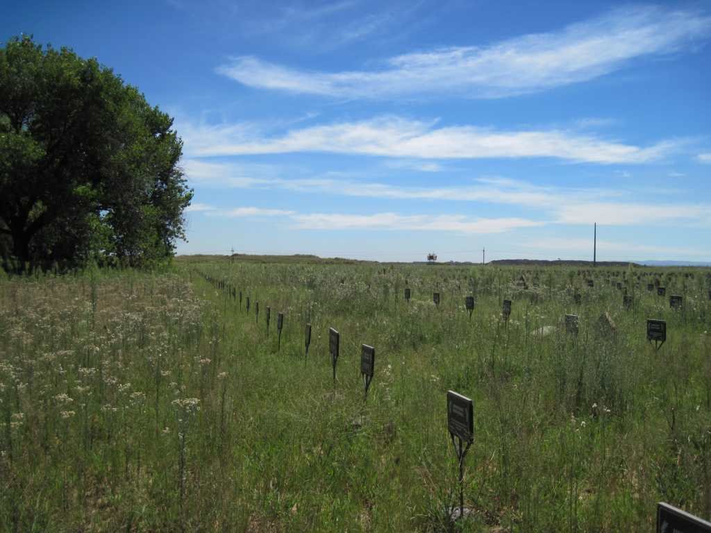 1. Overview - Relocated Graves