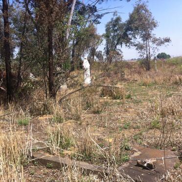 5. Overview / Oorsig