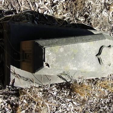 COETZEE Petrus D.J. -1927