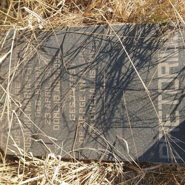 Free State, VILJOENSKROON district, Vaal Reefs South, Zuiping 394, farm cemetery