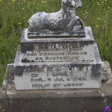 G - Surnames :: Vanne - G