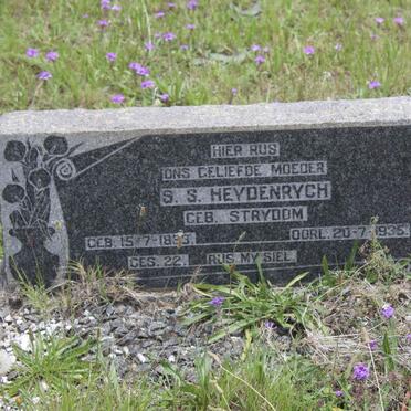 HEYDENRYCH S.S. nee STRYDOM 1893-1935