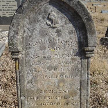 PLESSIS J.S.E., du nee VAN DER WALT 1892-1919