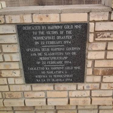 02. Harmony goldmine disaster 1994