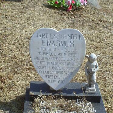ERASMUS Martiens Hendrik 1993-1995