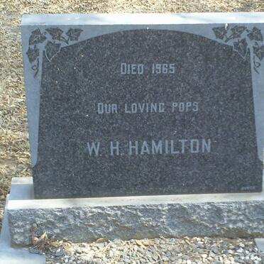 HAMILTON W.H. -1965