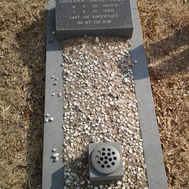 LOUW Susara 1960-1960